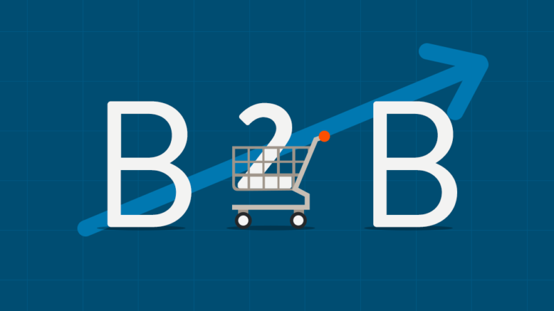 5 Points Every B2B eCommerce Website Designer Should Understand