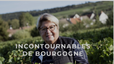 Vin de Bourgogne en ligne